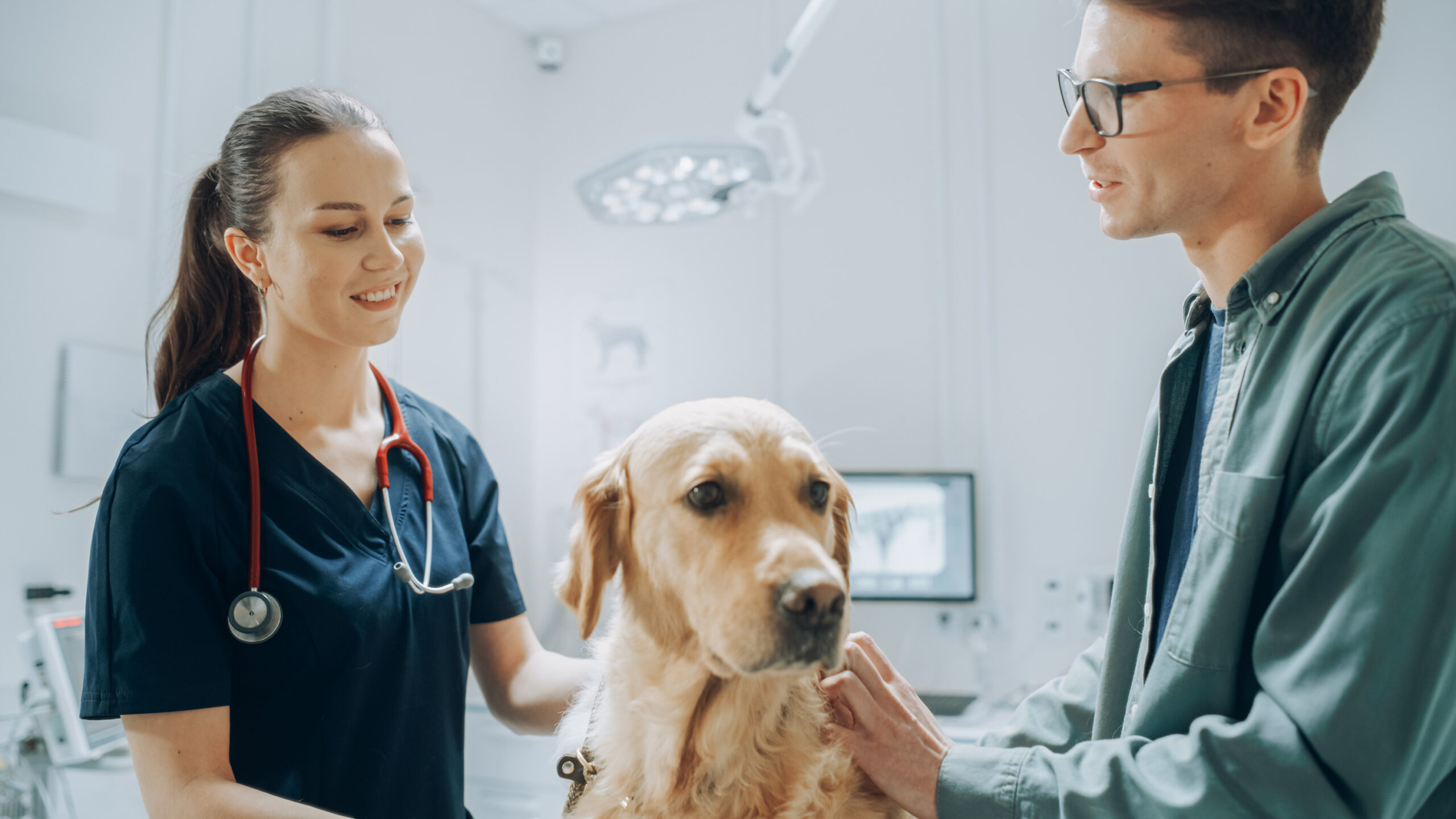 Female veterinary surgeon talking to male owner with a golden retriever standing between them.