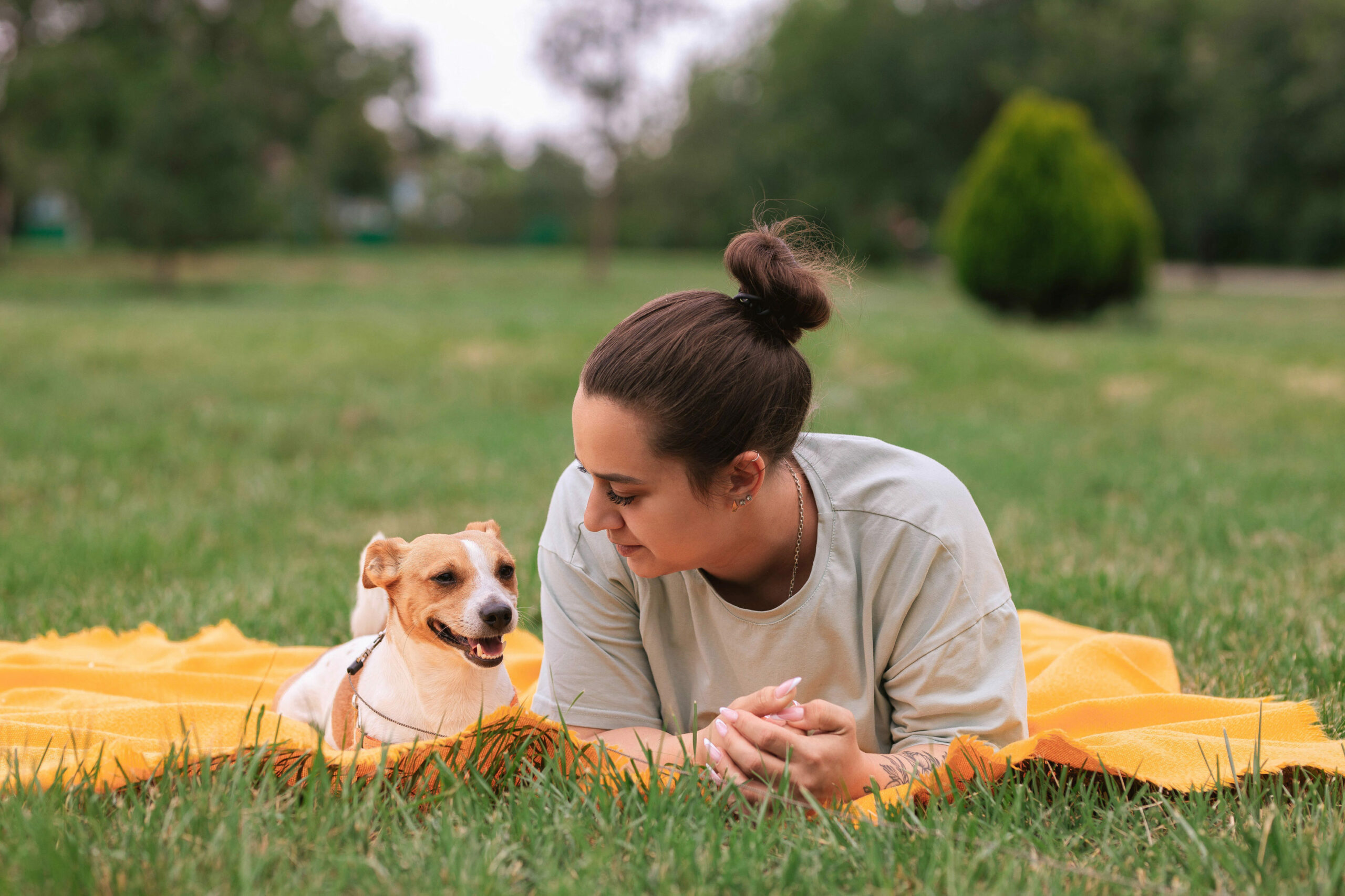 Dog and owner in field Dog owner laying in field with her Jack Russell Terrier